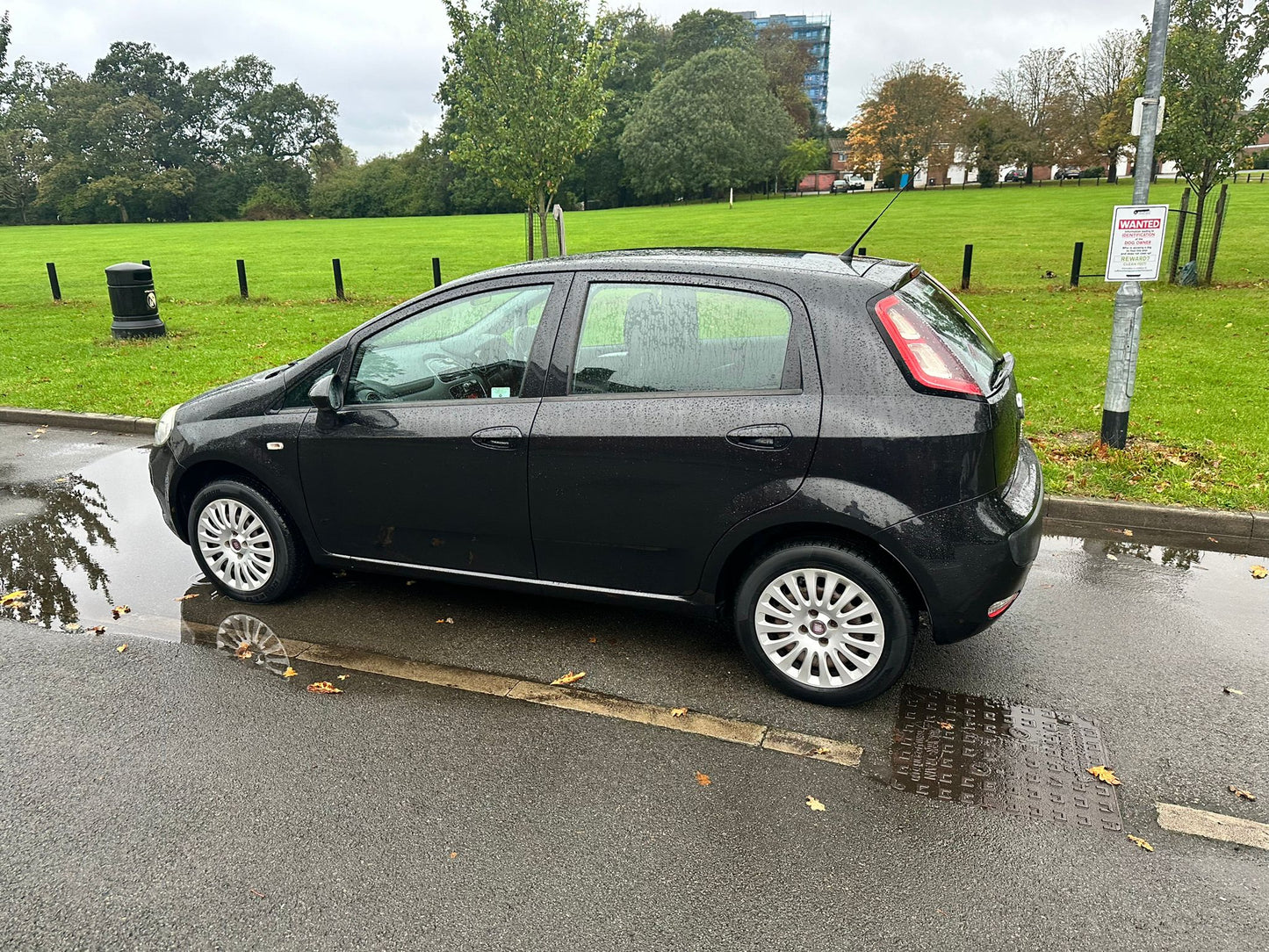 Fiat Punto Evo Dynamic 2010