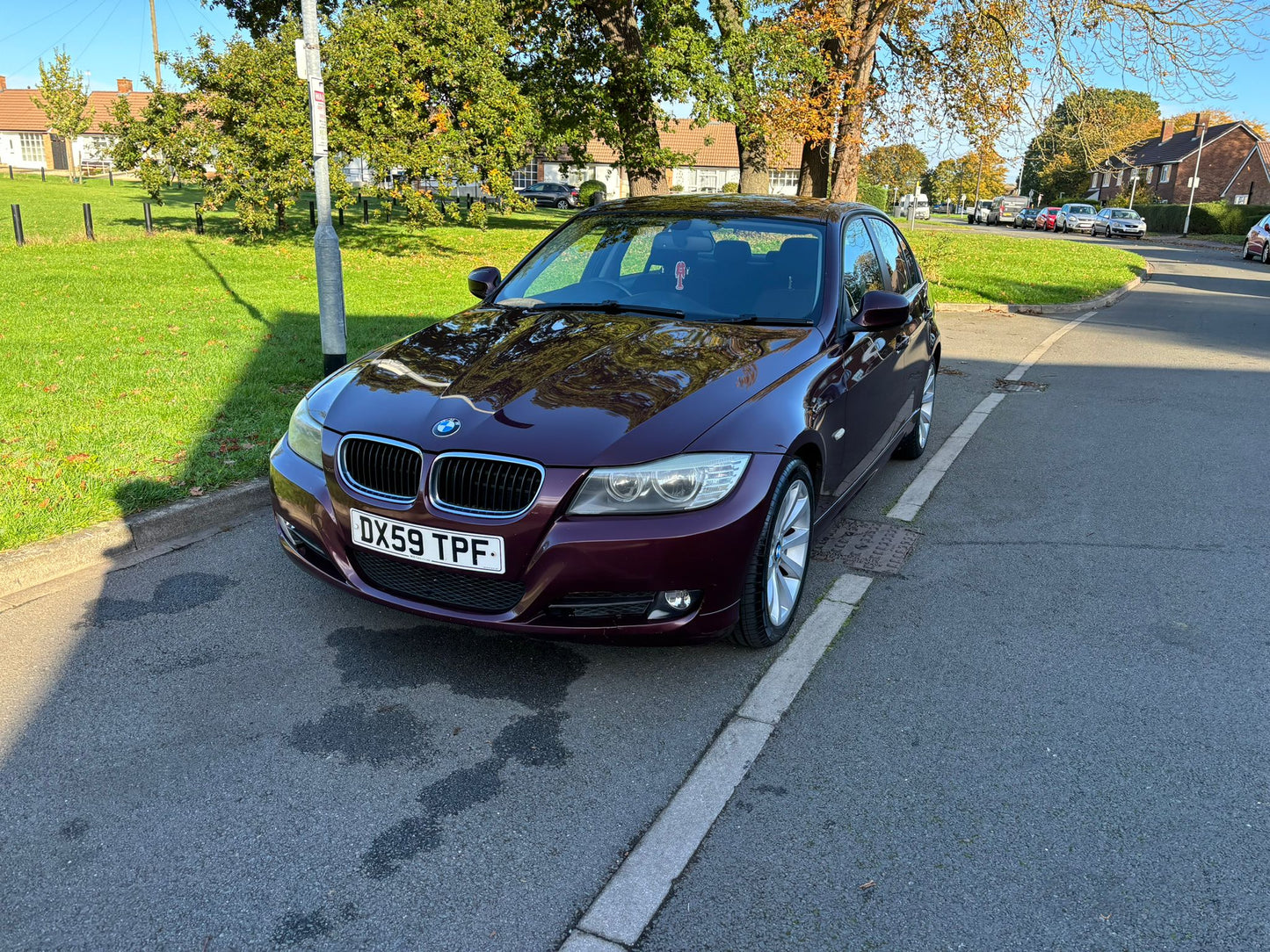 BMW 3 Series SE 2009