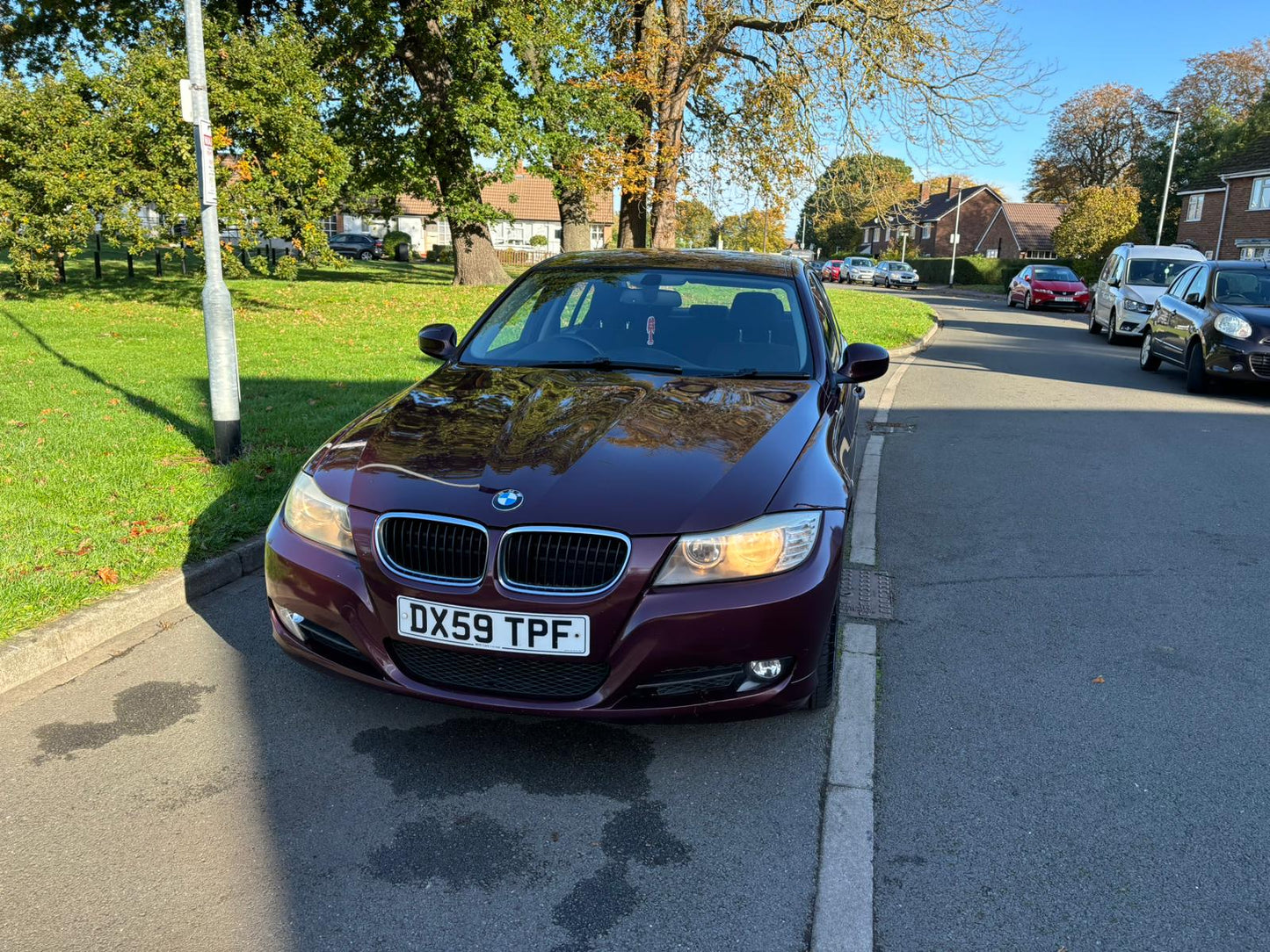 BMW 3 Series SE 2009